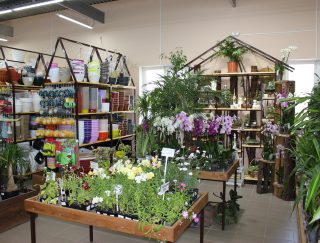 Фелиция - центр садоводства